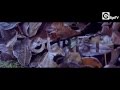 TOURIST - I Can't Keep Up (Official Video) (Ft ...