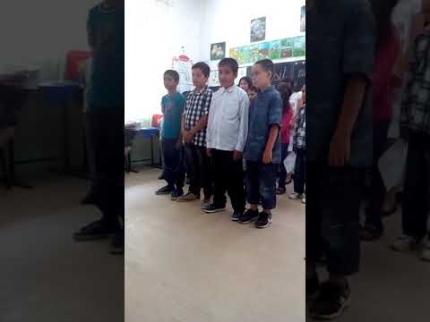 Peleș Curcanu trohan