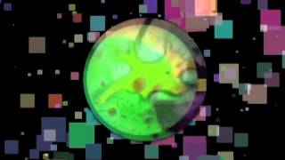 Hey Joe (The Shadows of Knight)