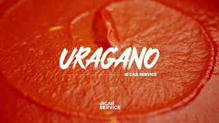 Presse-tomates industriel Uragano inox 30 q/h monophasé Di Car Service