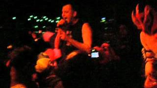 The Dwarves   Everybodys Girl