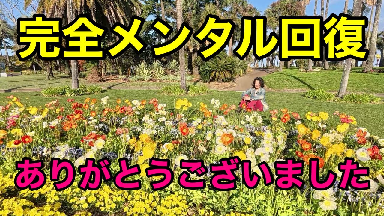 【今なら無料】メンタル回復に最高なパワースポット教えます　　　　【園芸超人カーメン君】【宮交ボタニックガーデン】【青島屋】