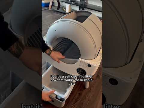 This automatic cat litter box is life changing 🥹😽#catshorts  #automaticcatlitter #cats #litterbox