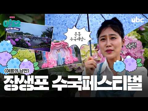 [생방송 0!52] 장생포 수국 페스티벌