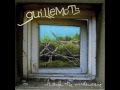 Guillemots Through the Windowpane