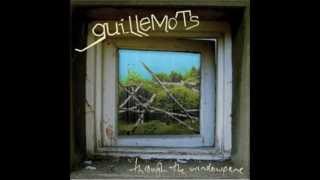 Guillemots Through the Windowpane