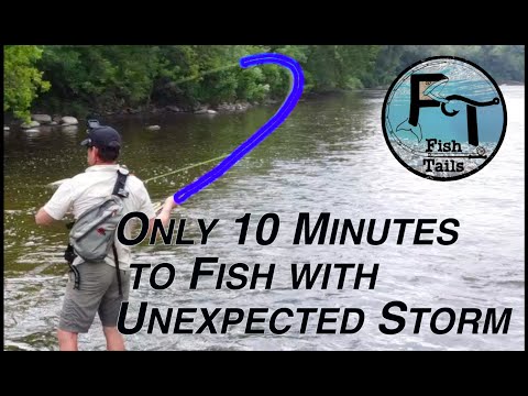 ONLY 10 minutes to Fly Fish downtown Milwaukee River (unexpected storm) - "Fish Tails" ep-15
