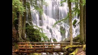 Throwin' it down - Wayman Tisdale *coaster380*