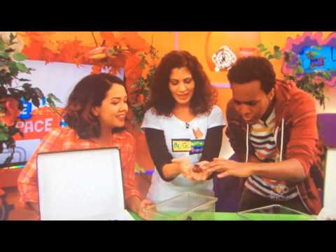 Tvo homework zone 07 image