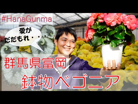 テッティゴニアについて詳しく解説