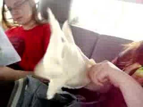 ON The way to Anime Punch 2007