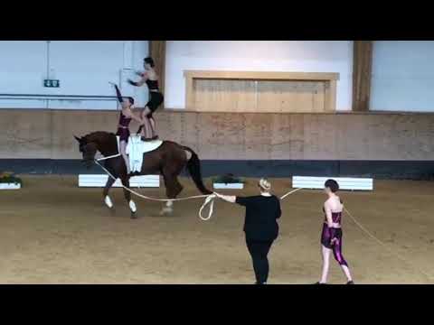 Bayerische Meisterschaft 2019: Schwabmünchen Junior 1