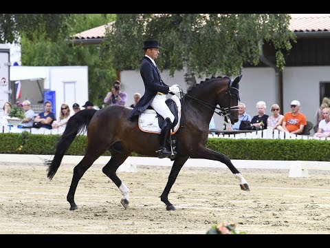 8.Finalqualifikation NÜRNBERGER BURG-POKAL 2018 – Dressurfestival Wintermühle
