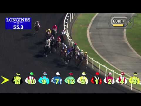 07.11.2013 Meydan (Dubai-UAE) 1.Race Emirates SkyCargo - Maiden 1.400 m