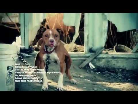 LUCK D.O.A (Dead Or Alive) Official Music Video