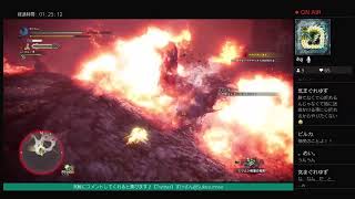 【すけさんのMHW IB】アプデきたから久々やる