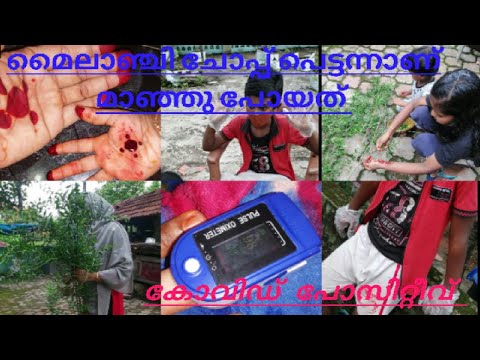 പെരുന്നാൾക്ക് കോവിഡ് പോസിറ്റീവ് ആയപ്പോൾ//miloos world by shareena mansoor 🤲