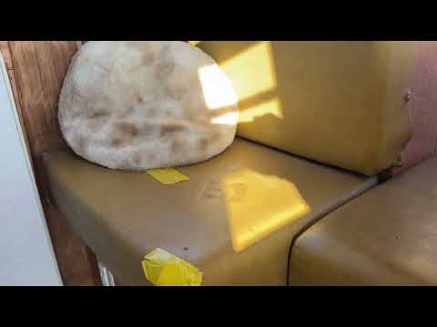 1971 Volkswagen Bus (CC-2068172) for sale in Anderson , Ca 