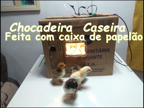 , title : 'Chocadeira de Papelão'
