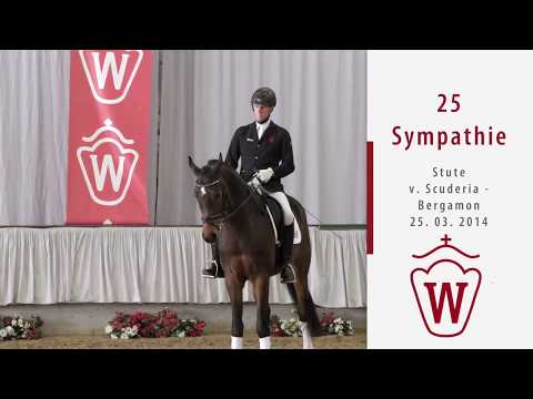 25 Sympathie  Stute v. Scuderia - Bergamon