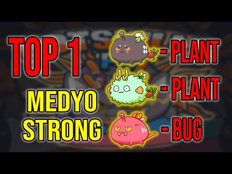 Top 1 Leaderboard MedyoStrong(Bug,Plant,Plant) Gameplay(9/24/2021) | Axie Infinity