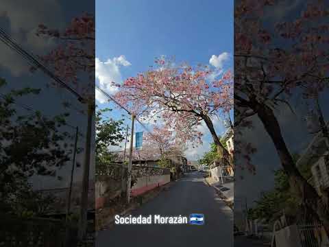 Sociedad Morazán 🇸🇻