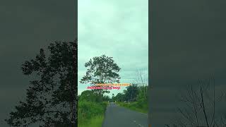 Download lagu When the heart feels heavy #shotrs #lifemotivation #lifereflection #self-reflection mp3