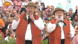 Die Wildecker Herzbuben - Herzilein 2015