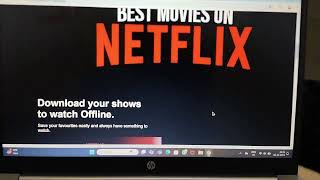 Netflix website design by using HTML CSS JS