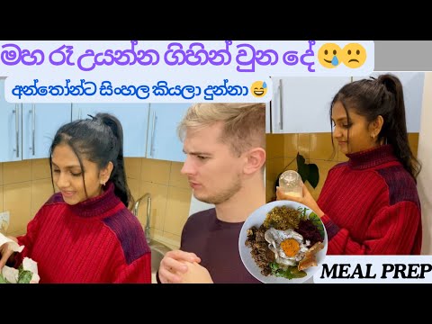 මෙහෙම beetroot දැකලා තියෙනවද?| Anthon’s favourite food ♥️😍 #sinhala #vlog #couple #srilanka