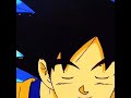 Goku Is Goku