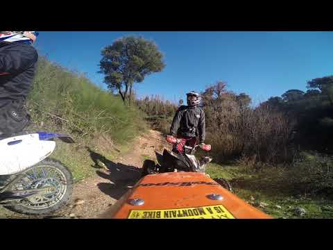 Meia via Team Hollywood