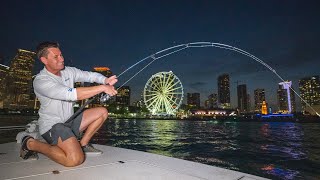 MONSTERS in MIAMI...Fighting Urban City Giant&#39;s