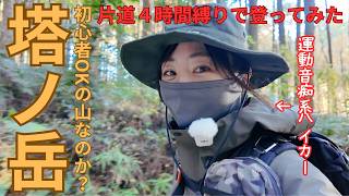【王道登山】２年ぶりの大倉尾根登りが辛すぎた!! #塔ノ岳 #登山 #低山