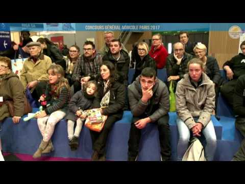 Voir la vidéo : Ring Canins du 01 mars 2017, partie 2