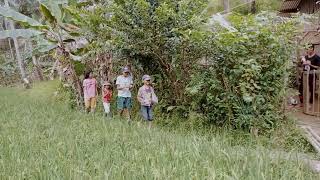 batang taga bantay malapit na maani palay namin