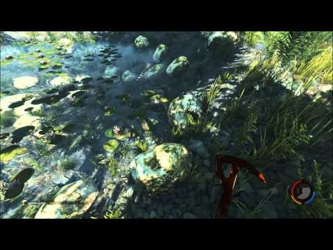 The Forest - Beginner's Guide