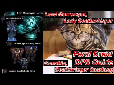 Icecrown Citadel - Feral DPS Guide to First Four Bosses