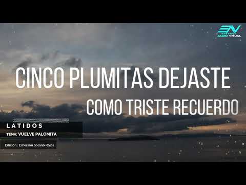 Vuelve Palomita - Duo Latidos