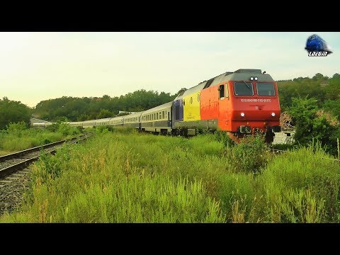 Jimmy Tricolor 64-0990-3 & IR1742 Satu Mare-Brașov-București Nord in Oradea - 23 August 2019