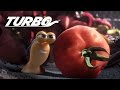 TURBO Harvest Tomato