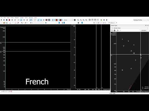 Video Example 30 Formant Frequencies of Different Languages