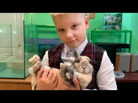 Живой уголок в гомельском экоцентре | "Зелёная педагогика" видео