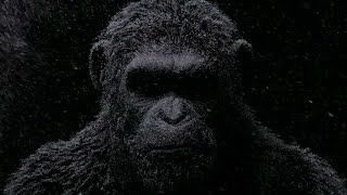 映画『猿の惑星：大戦記グレート・ウォー』モーション・ポスター