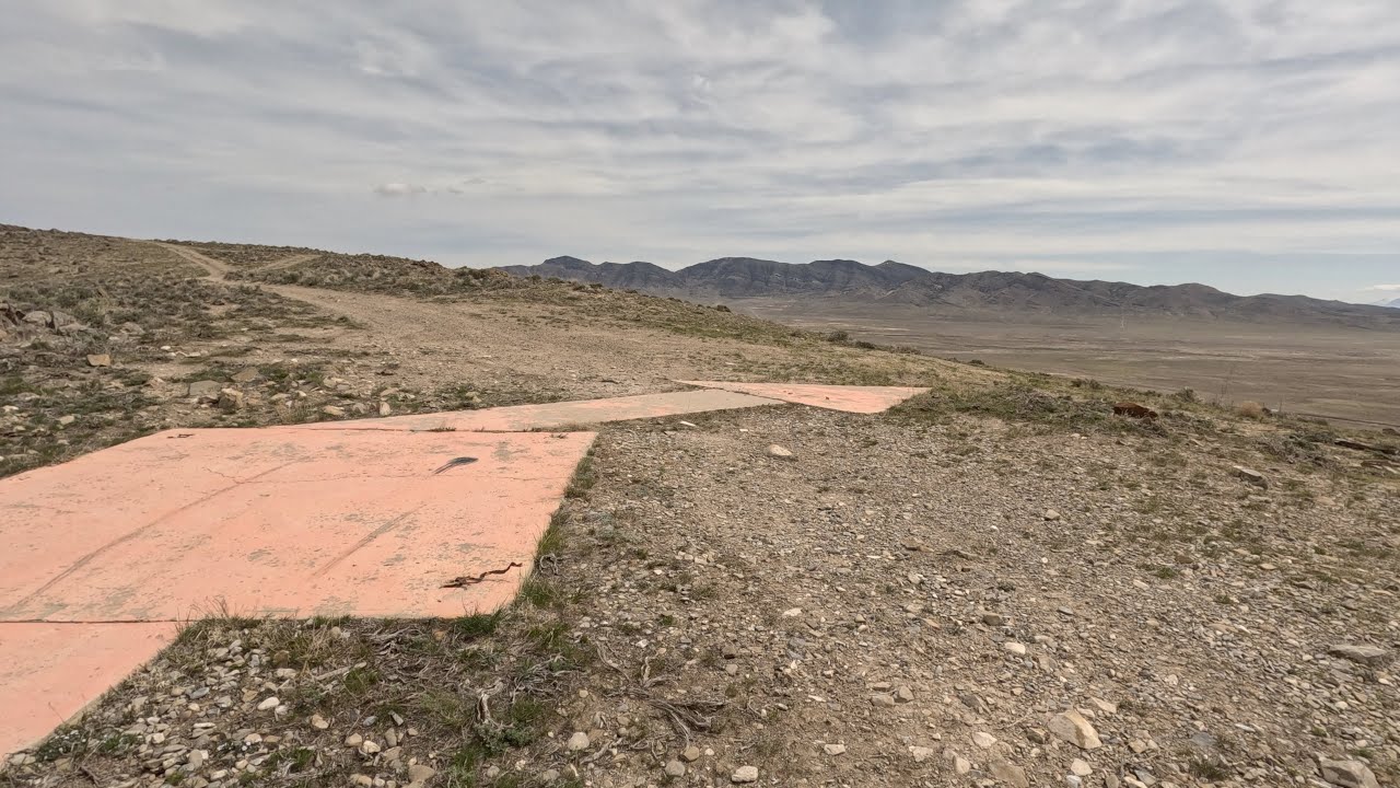 Aviation Navigation Arrows