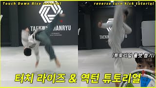 [설 특집] 태권도, 무엇이든 물어보살!