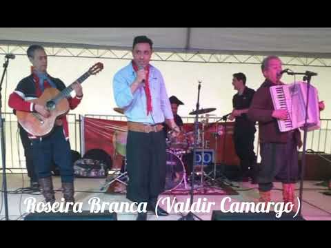 Roseira Branca (Valdir Camargo)