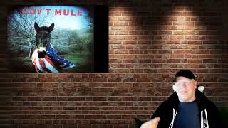 Gov&#39;t Mule World Of Difference #govtmule #warrenhaynes #mattabts #allenwoody #guitarhero #guitartone