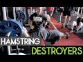 The BEST Way to Activate Your Hamstrings | Hamstring Destroyers
