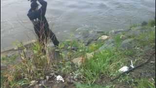 preview picture of video 'Pêche au barrage de Nicolet'